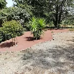 Les Jasmins De Salelles Le Bosc (Herault)