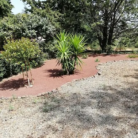 Les Jasmins De Salelles Le Bosc (Herault)