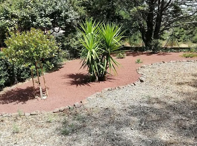 Les Jasmins De Salelles Le Bosc (Herault)